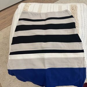 Express striped Skirt